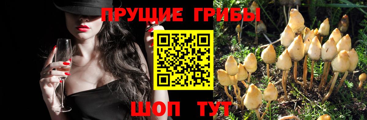 Галлюциногенные грибы ЛСД  Вход с VPN  купить закладку  Кохма 